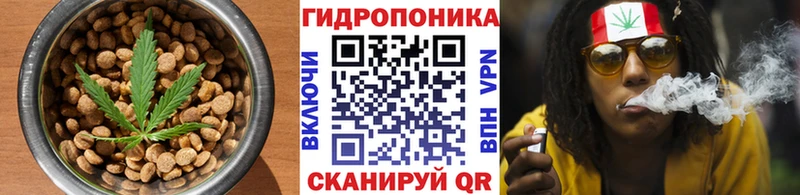 Cannafood конопля  что такое   Элиста 