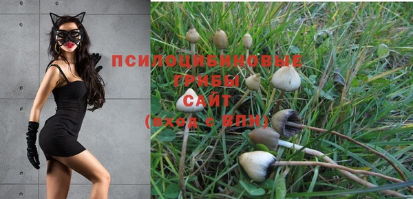mix Абаза