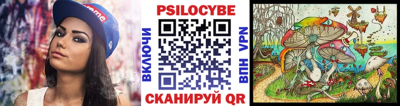 kraken ссылки  Элиста  Галлюциногенные грибы Psilocybine cubensis  продажа наркотиков 